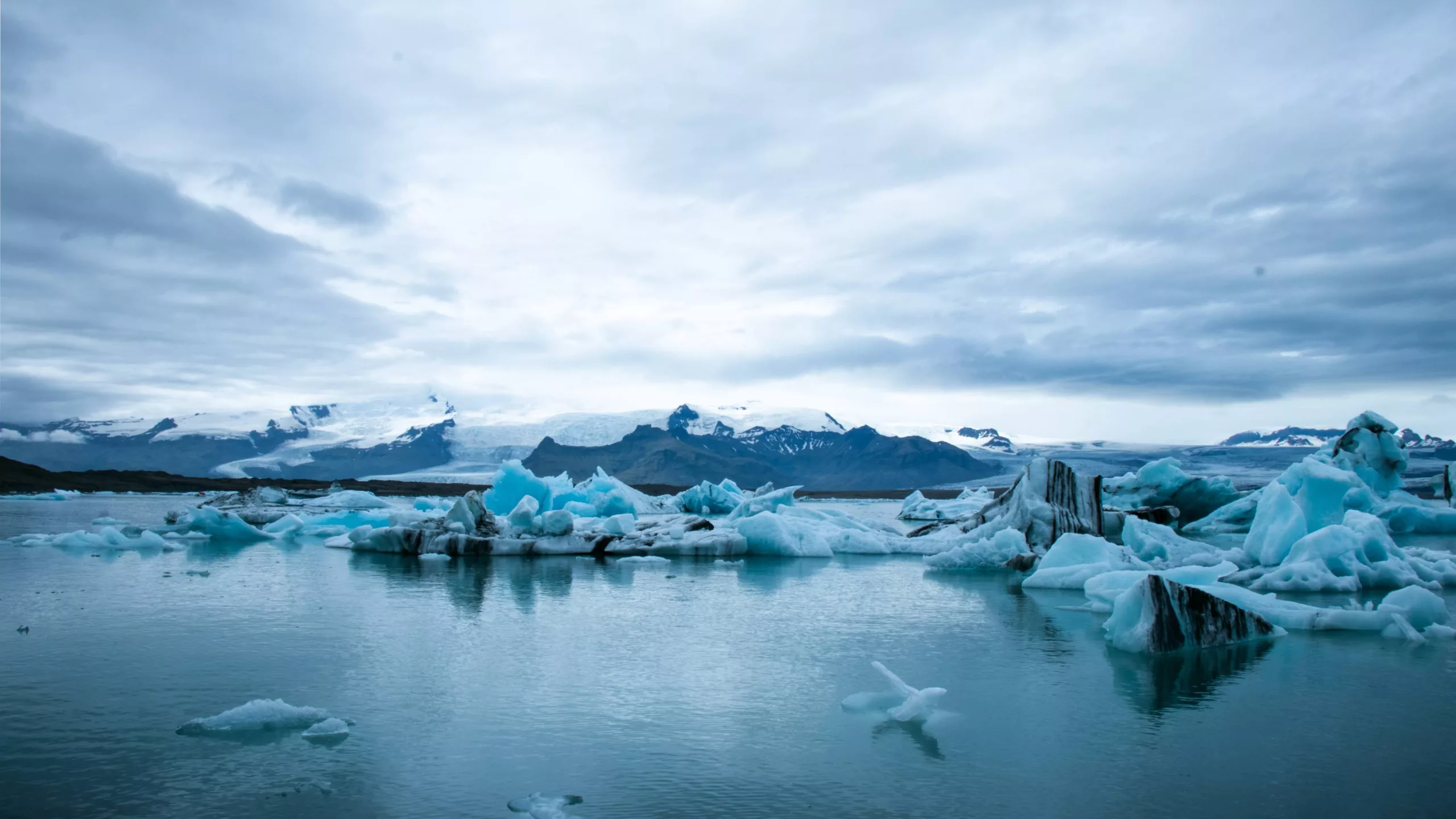 La Cambra s’adhereix al Manifest per la Vaga Mundial pel Clima