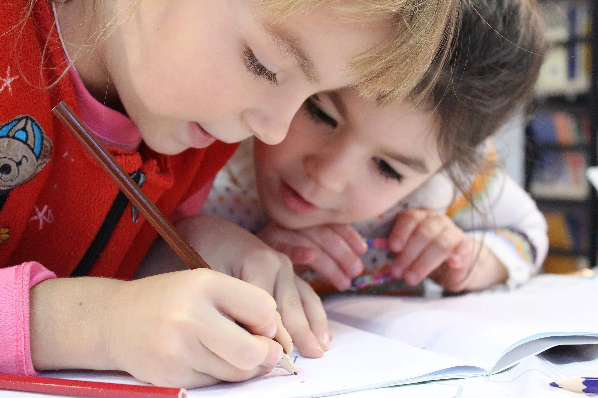 La Cambra reclama que es destinin els recursos necessaris perquè els centres educatius puguin mantenir-se oberts tot i els possibles contagis