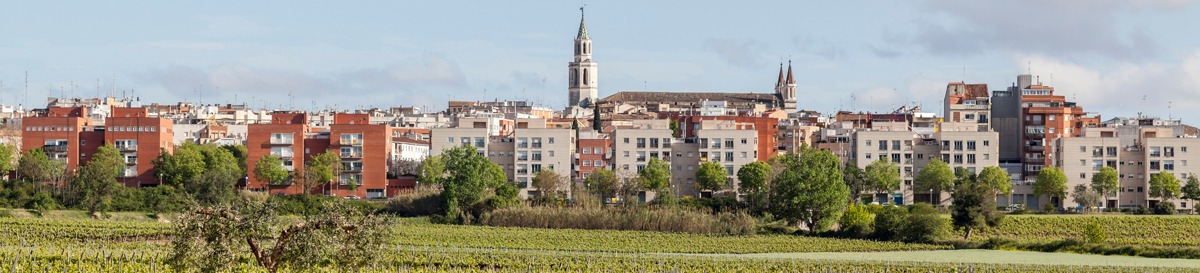 Category Alt Penedès